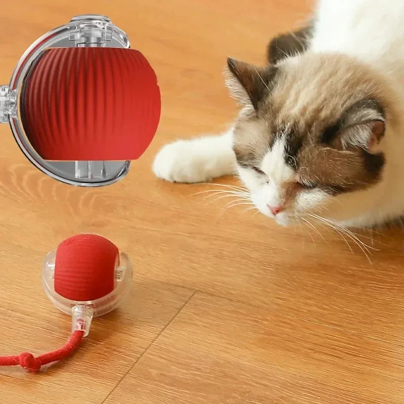 Gato Brinquedos Inteligentes Automáticos Bola Rolante Cauda Falsa Recarregável Elétrico Pet Interativo Brinquedo Cão Gato Treinamento Imita Caudas de Rato