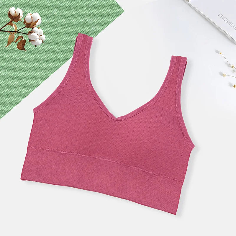 Sutiã Esportivo Feminino Respirável Roupa Íntima Feminina Fitness