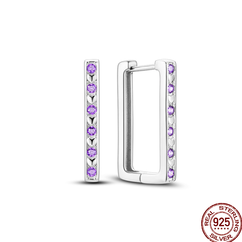 Earrings 925 Sterling Silver Colorful Shiny Zircon Earrings Temperament Charm Luxury Party Jewelry Gift Birthday Anniversary