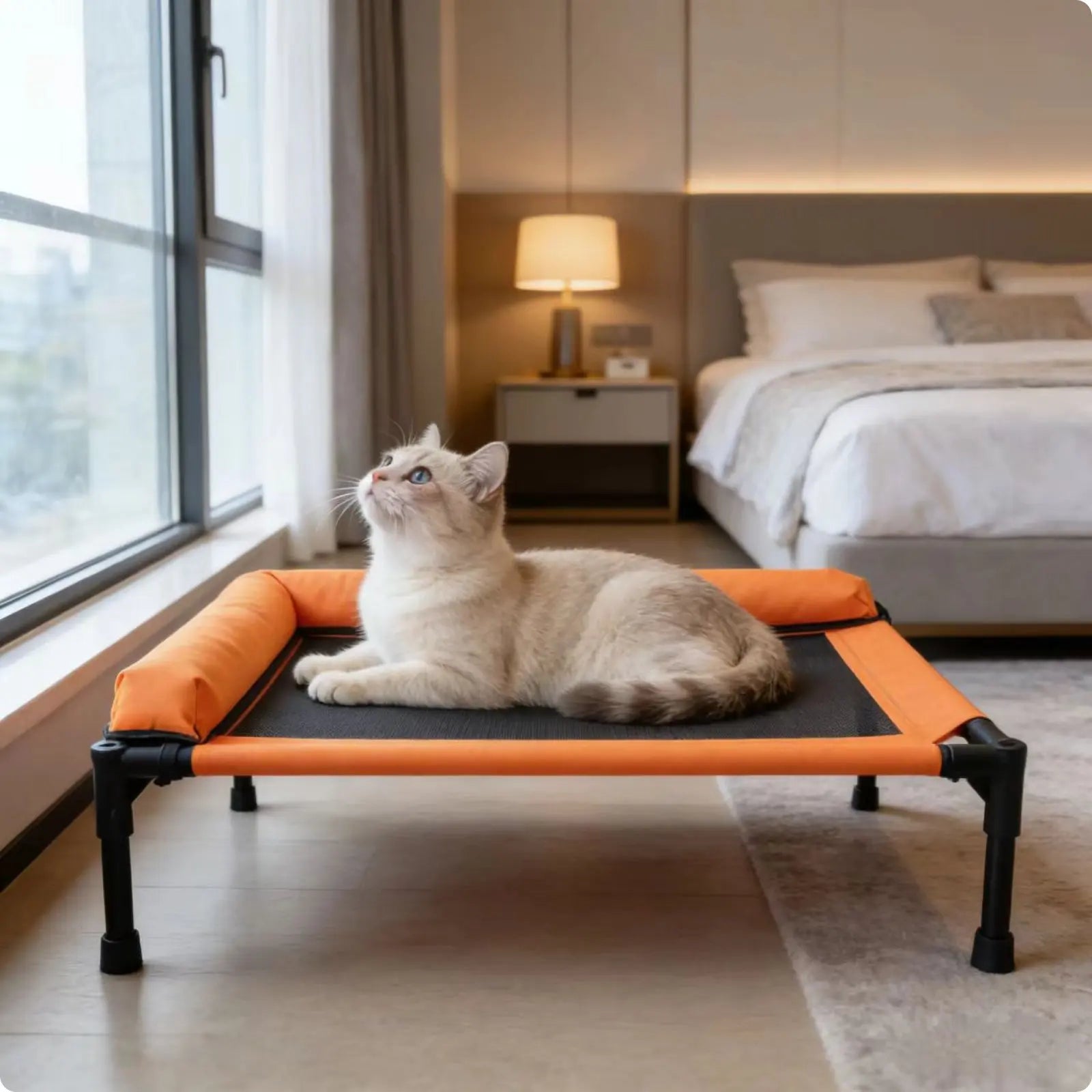 Raised Cooling Pet Cot Washable Elevated Dog Bed for Small Dogs