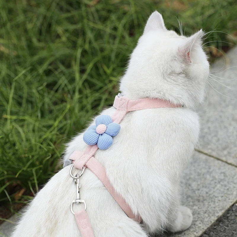 Coleiras e Guias para Gatos, Peitoral Ajustável para Cães Pequenos, Coleira Respirável para Animais de Estimação para Passeio, Alça para Cães