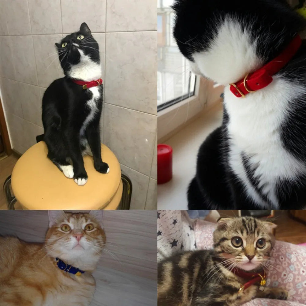 Cute Flocked Cloth Cat Collars Adjustable with Or Without a Bell Cat Tie Durable Pet Supplies Cat Dog