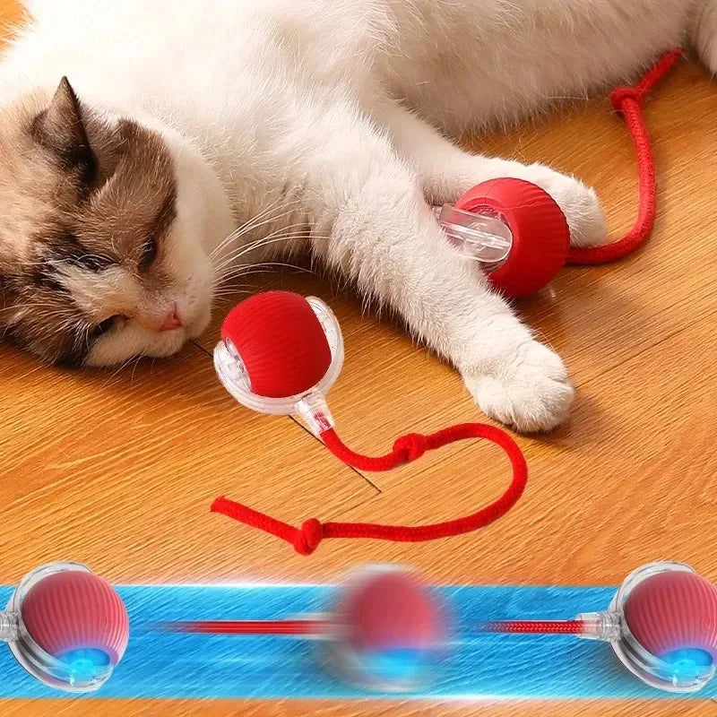 Gato Brinquedos Inteligentes Automáticos Bola Rolante Cauda Falsa Recarregável Elétrico Pet Interativo Brinquedo Cão Gato Treinamento Imita Caudas de Rato