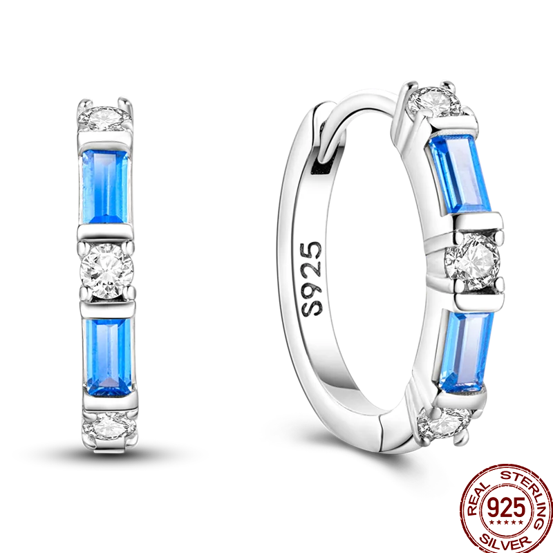 Earrings 925 Sterling Silver Colorful Shiny Zircon Earrings Temperament Charm Luxury Party Jewelry Gift Birthday Anniversary