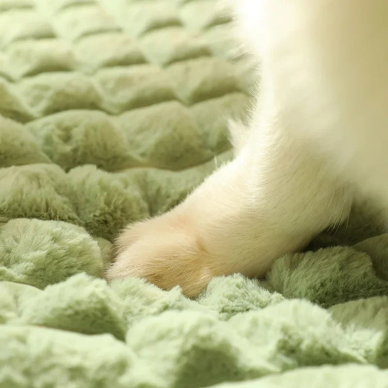 Camas Calmantes para Cães de Pequeno e Grande Porte Colchonete Luxuoso para Cães com Travesseiro Capa Removível Almofada de Espuma para Animais de Estimação Camas Macias para Dormir