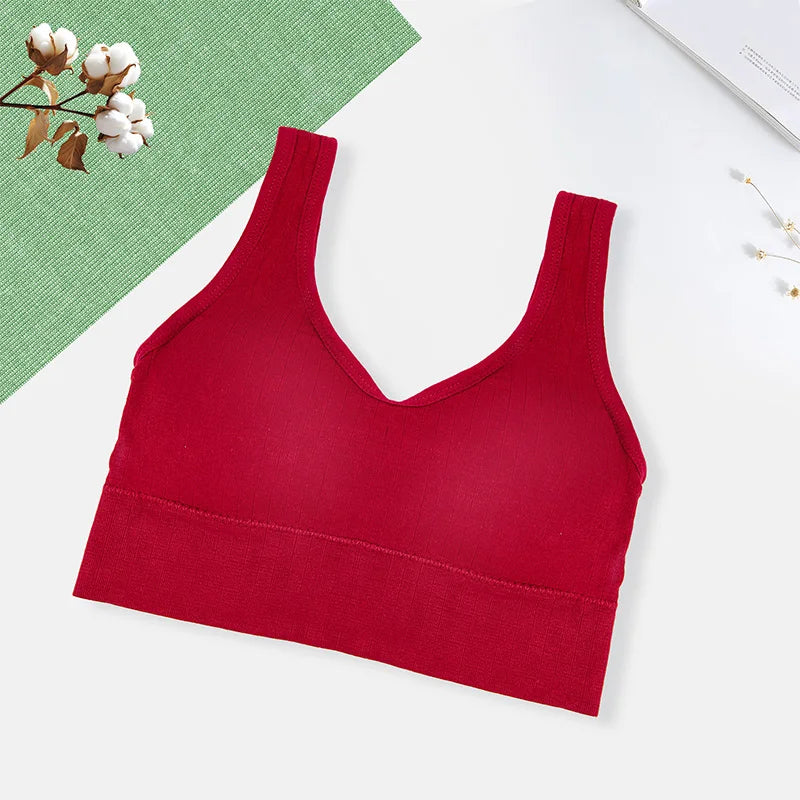 Sutiã Esportivo Feminino Respirável Roupa Íntima Feminina Fitness
