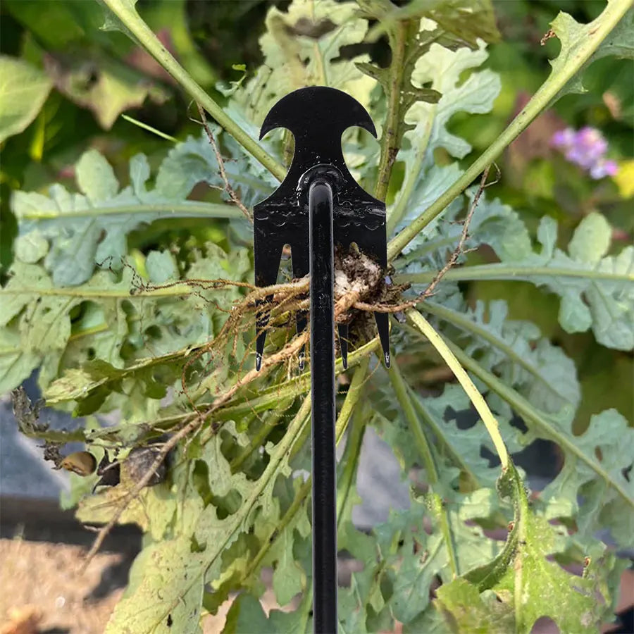 Hand Herbicide