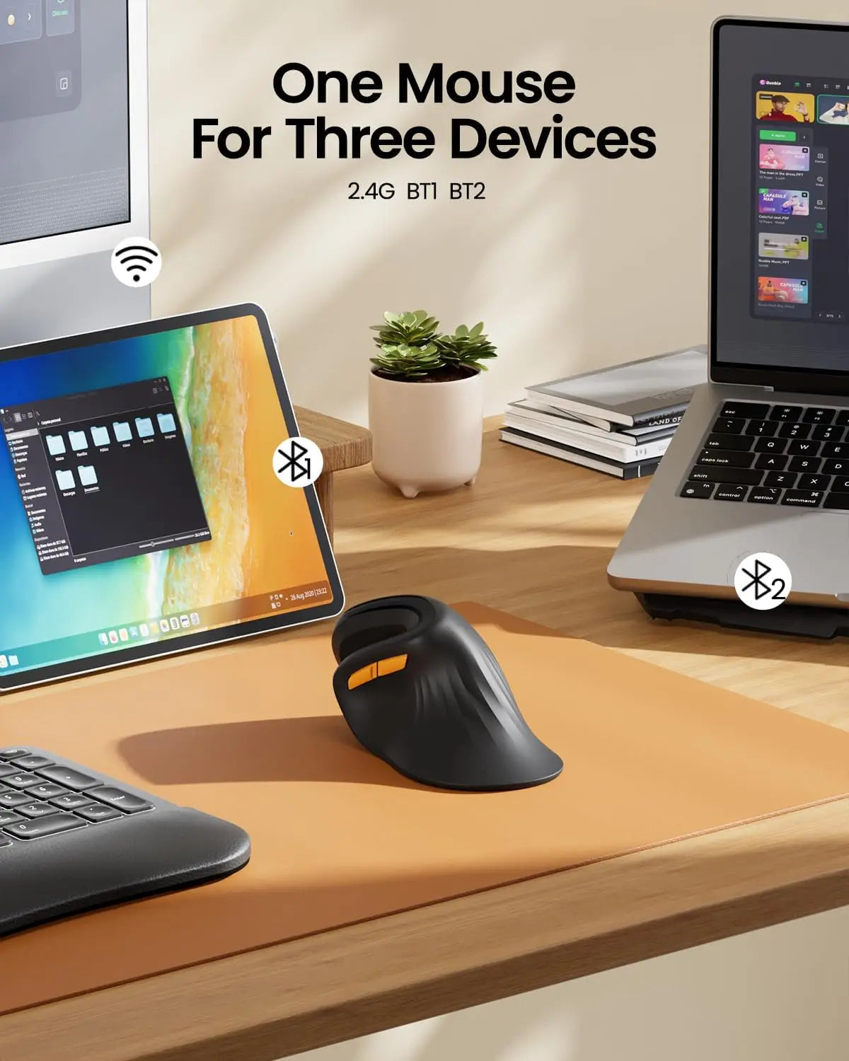 Ergonomic Mouse