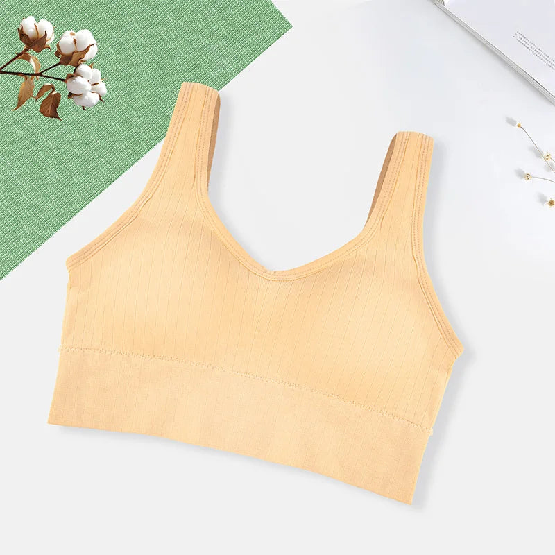 Sutiã Esportivo Feminino Respirável Roupa Íntima Feminina Fitness