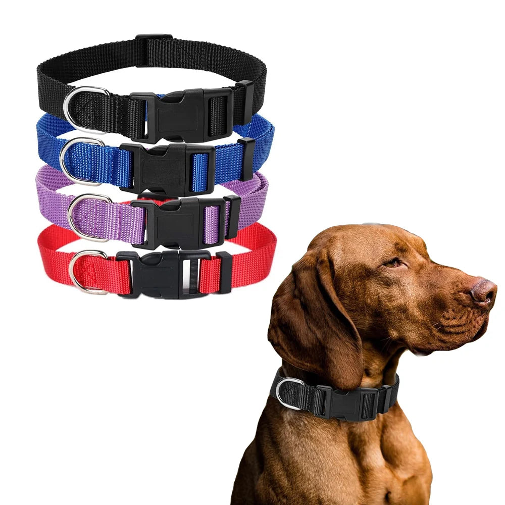 Coleira de Nylon para Cães com Fivela Resistente, Coleira para Animais de Estimação Pequenos e Médios, Chihuahua, Cores Vermelho, Preto, Azul, Roxo 20