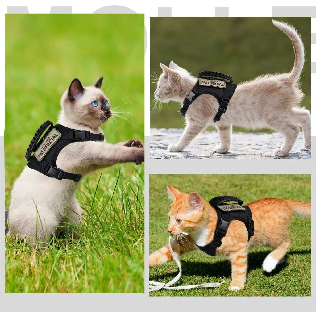 Peitoral Coleira para Gato e Cinto Peitoral Tático Respirável para Animais de Estimação para Cães e Gatos de 3-20 Kg
