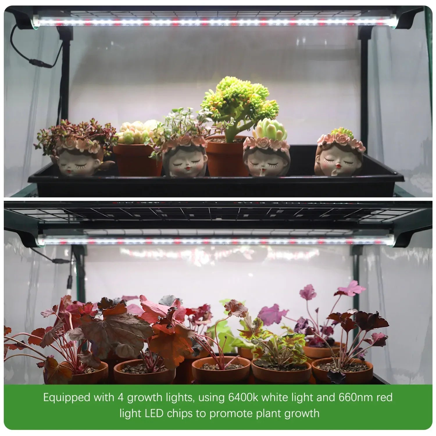 WonderNest Garden Greenhouse Warm Room Tent