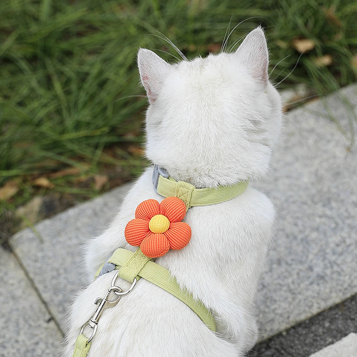 Coleiras e Guias para Gatos, Peitoral Ajustável para Cães Pequenos, Coleira Respirável para Animais de Estimação para Passeio, Alça para Cães