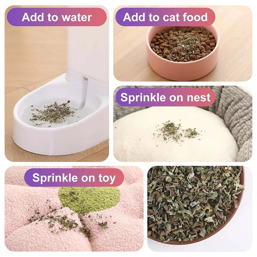 Pet's Cat Premium Catnip-56g Pote de Erva do Gato de Alta Potência, 100% Natural e Livre de Químicos, Seguro para Gatos de Todas as Idades