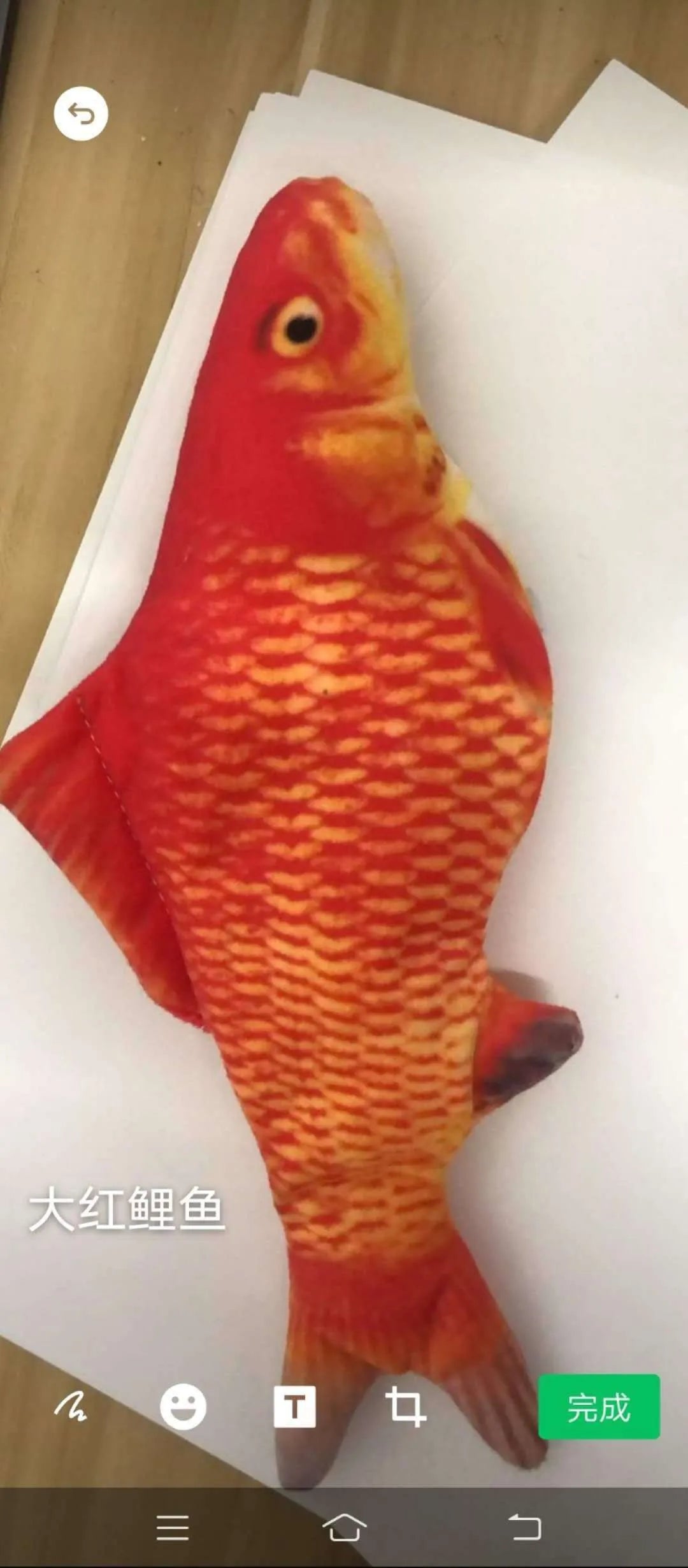 Cat Electric Toy Self-Play Wiggling Fish Plush Interactive Pet Toy for Cats