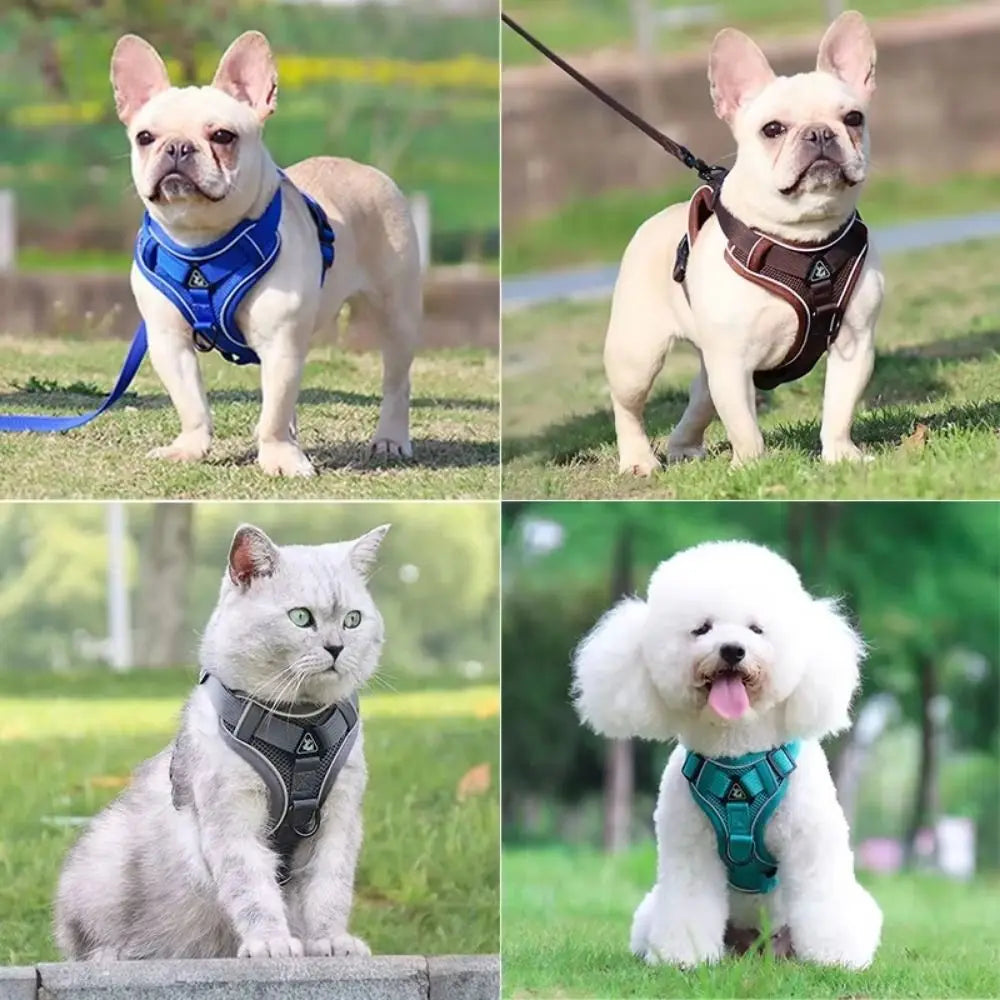 Colete Guia Peitoral Para Gatos Anti Fuga Ajustável Com Faixa Reflexiva E Respirável