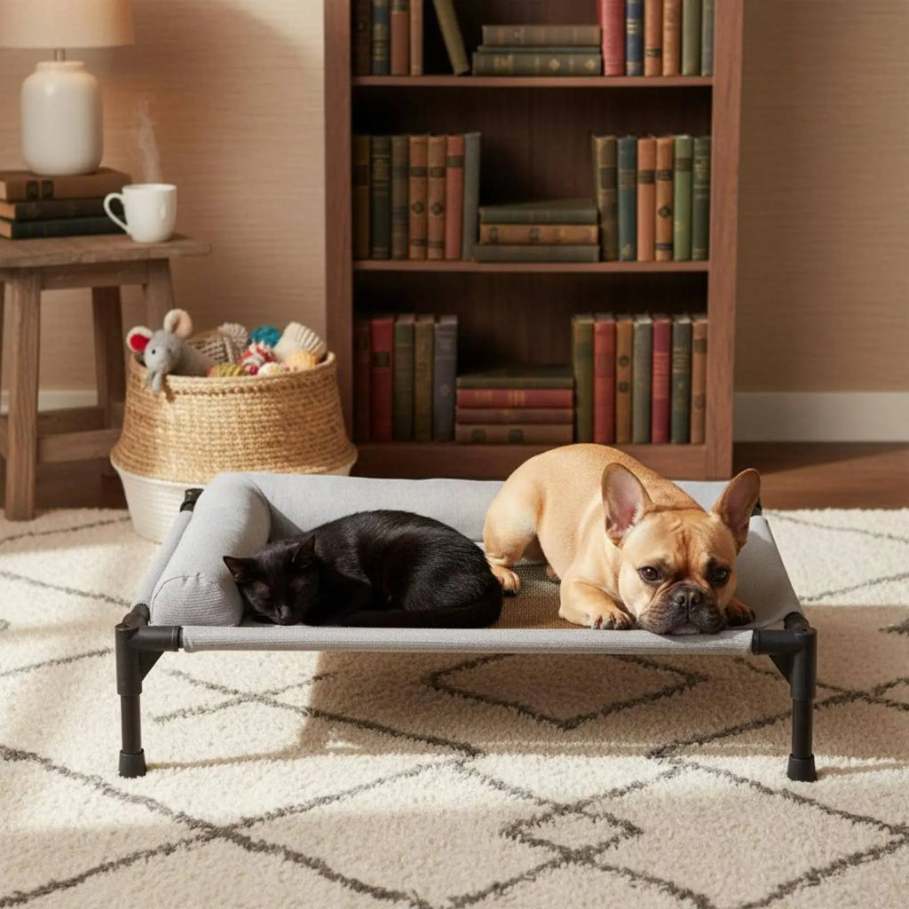 Cama Elevada para Pets Uso em Todas as Estações Cama Elevada para Cães e Gatos Camas Dobráveis para Pets Estrutura Resistente com Suporte para Travesseiro para Felinos, Viagem