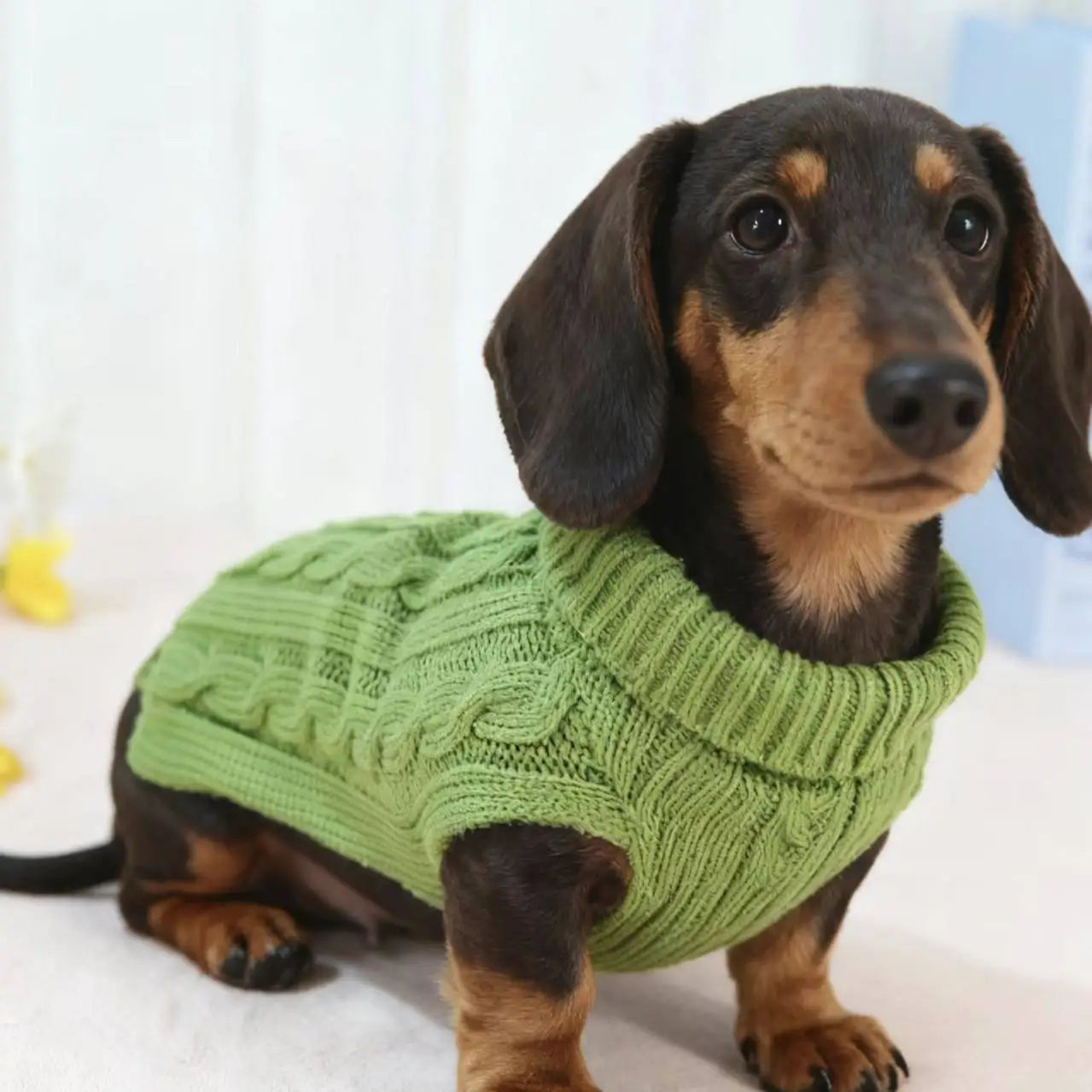 Colete Suéter de Tricô Quente de Inverno com 2 Pernas para Cães Salsicha Colete Sem Mangas de Cor Sólida para Cães Dachshund Casaco Macio para Dachshund Pequeno e Médio
