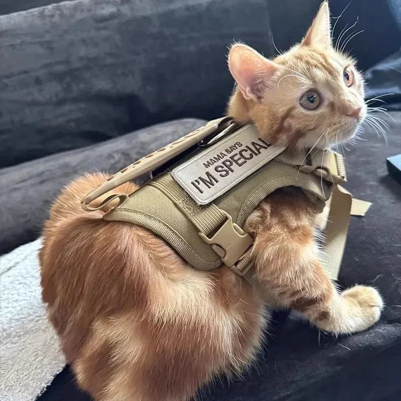 Peitoral Coleira para Gato e Cinto Peitoral Tático Respirável para Animais de Estimação para Cães e Gatos de 3-20 Kg