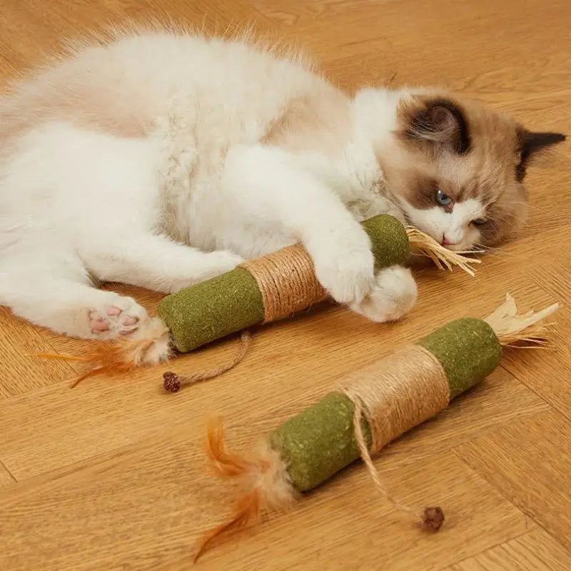 NOVO 1/2 Peças Brinquedos para Gato Feitos de Polygonum Odoratum Nó Cístico de Inseto Corda de Sisal Raffia Brinquedos para Limpeza de Dentes Varas Provocadoras para Gatos
