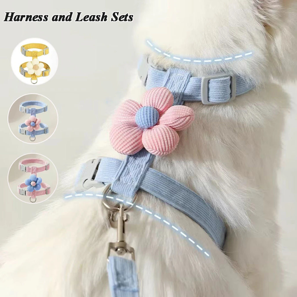 Coleiras e Guias para Gatos, Peitoral Ajustável para Cães Pequenos, Coleira Respirável para Animais de Estimação para Passeio, Alça para Cães