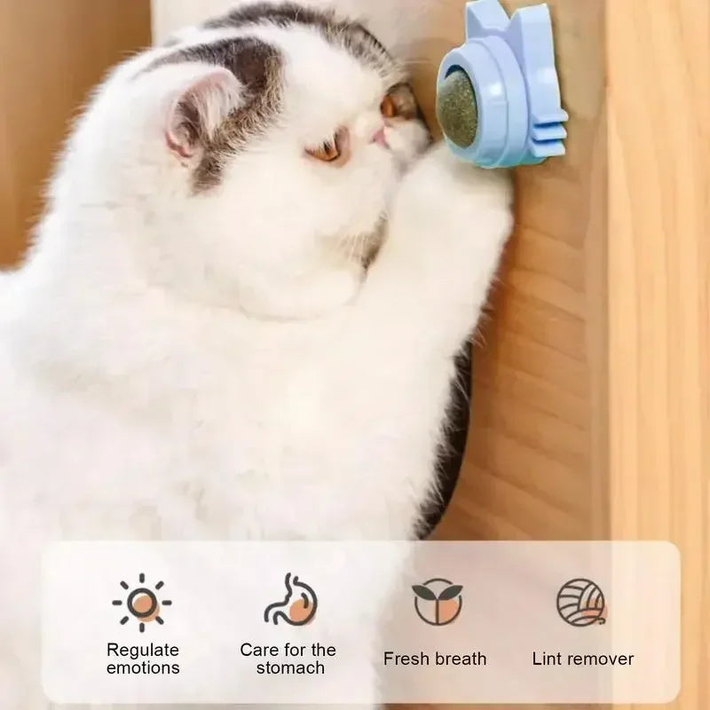 Brinquedos de Catnip para Gatos Internos Bola Giratória de Parede Interativa Hortelã Natural Melhora a Digestão Estimulante de Apetite Cuidados Dentários para Gatos