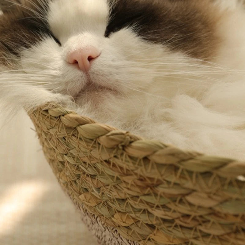 Cama para Gato em Rattan Natural, Ninho Universal para Todas as Estações, Cama Portátil para Animais de Estimação de Pampas, Produtos para Animais de Estimação de Celebridades da Internet Haustierbett XY40CWC