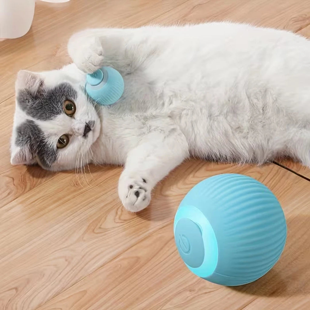Brinquedo para Gatos Bola Rolante Automática Recarregável via USB Interativo Ativado por Movimento que Brilha no Escuro Brinquedo de Silicone para Animais de Estima Seguro para Todos
