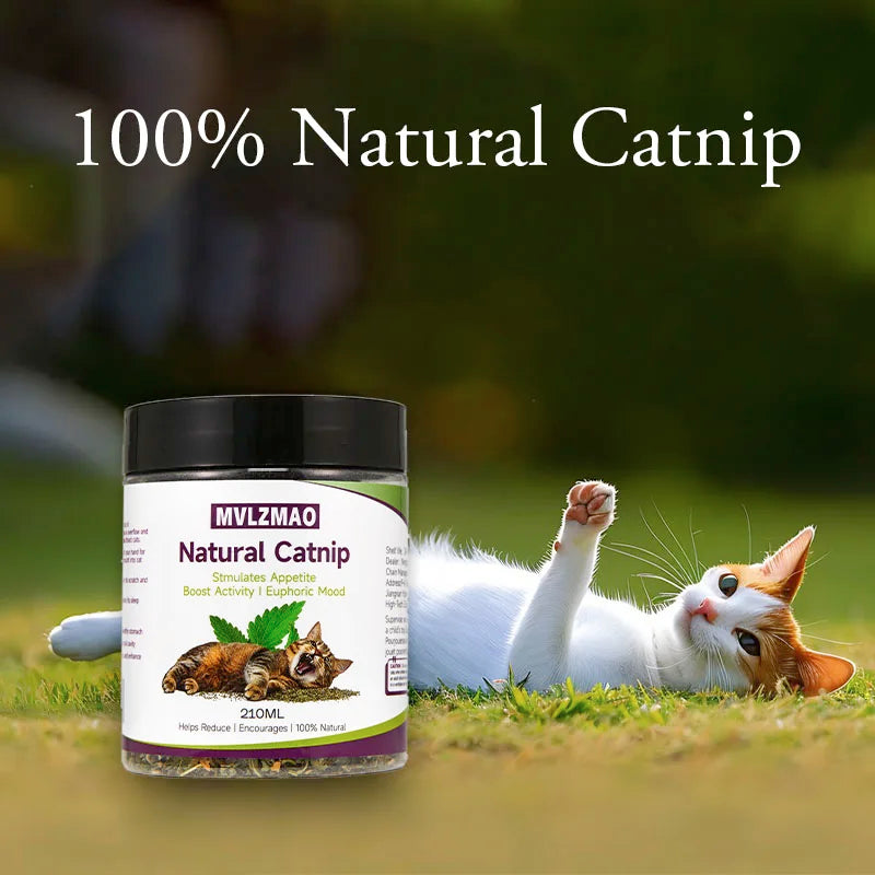 Brinquedos para gatos - Silvervine Catnip para gatos, Catnip 100% natural, chá de ervas, folha solta, 210 ml, seguro para gatos de todas as idades, suprimento para animais de estimação