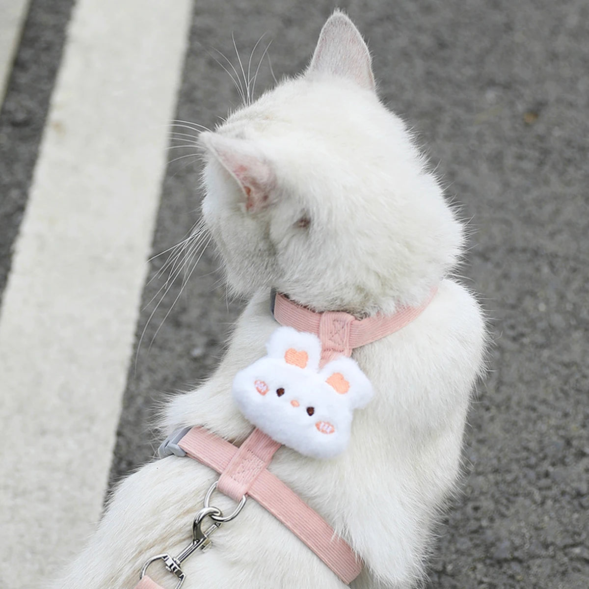 Coleiras e Guias para Gatos, Peitoral Ajustável para Cães Pequenos, Coleira Respirável para Animais de Estimação para Passeio, Alça para Cães