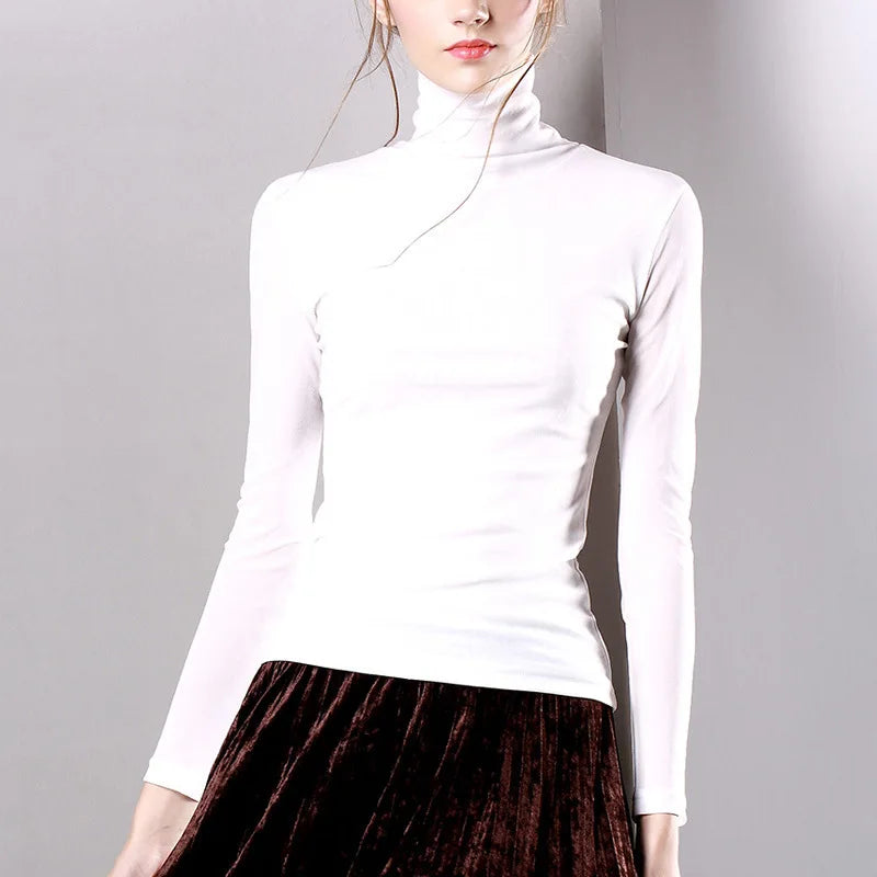 Spring And Autumn Elastic Mesh High Neck T Shirt Bottoming Shirt Womens Long Sleeved Solid Color Thickened Basic Top - dark brown M