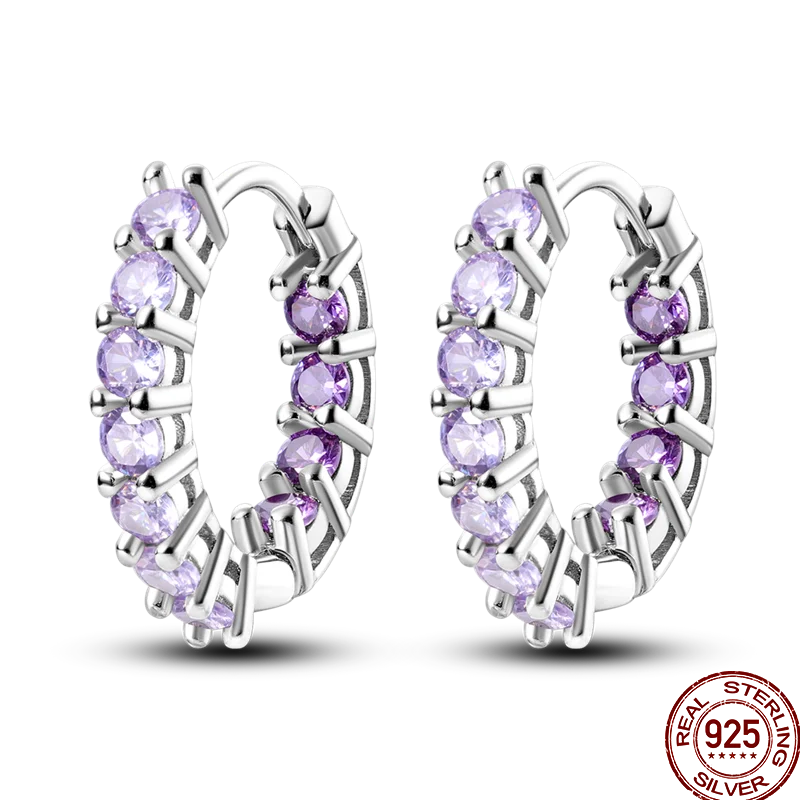 Earrings 925 Sterling Silver Colorful Shiny Zircon Earrings Temperament Charm Luxury Party Jewelry Gift Birthday Anniversary