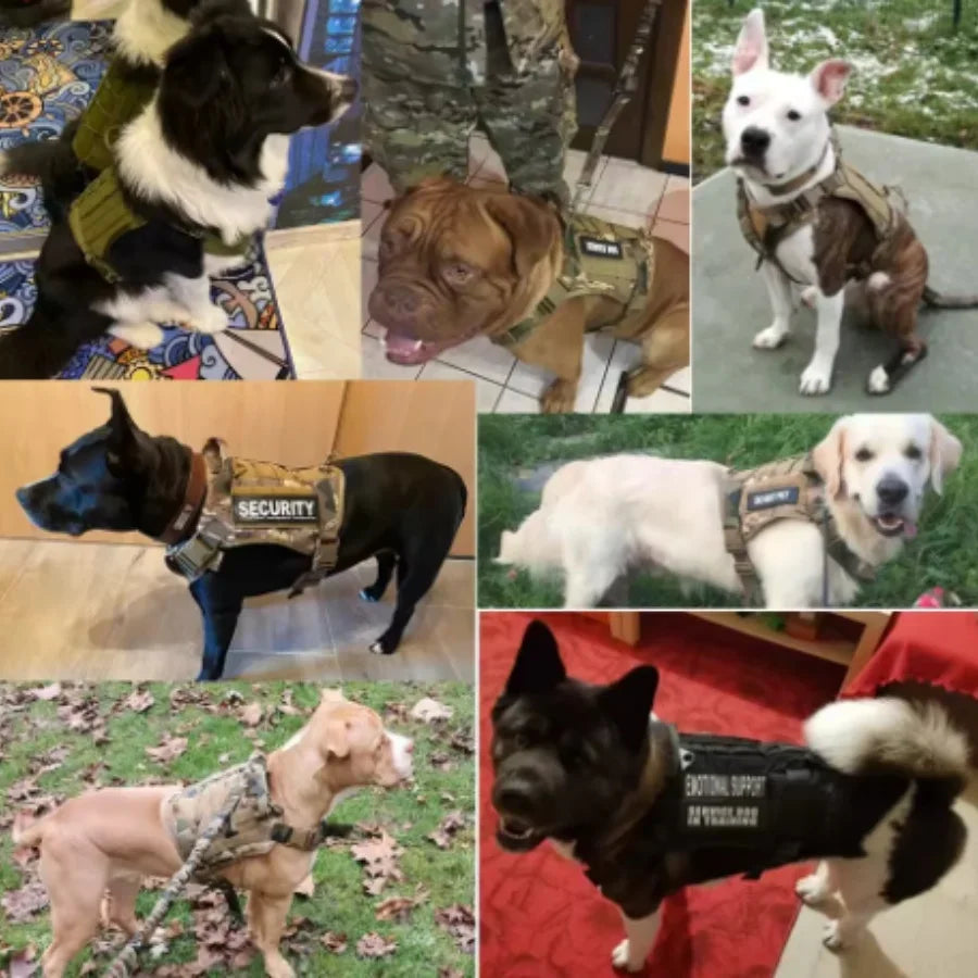 Coleira de Peitoral Tático para Cães Médios e Grandes Coleira para Cães Colete Militar para Cães Arnês Ajustável para Cães de Serviço para Treinamento e Caminhada