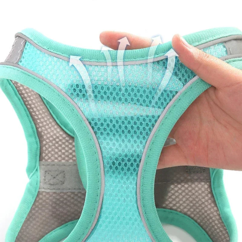 Conjunto de Coleira e Peitoral para Cães Pequenos Bulldog Francês Chihuahua Pug Coleira de Caminhada ao Ar Livre Coleira Ajustável para Filhotes de Cachorro e Gatos