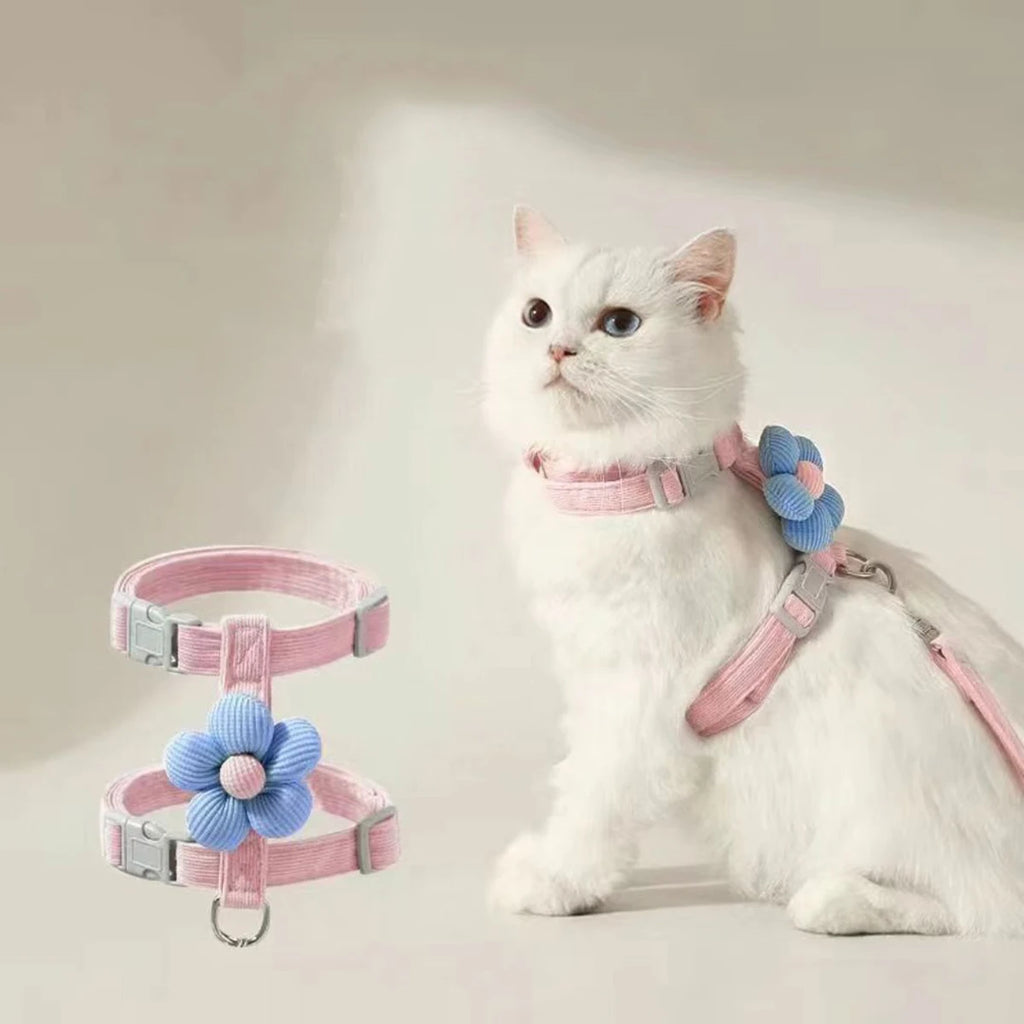 Coleiras e Guias para Gatos, Peitoral Ajustável para Cães Pequenos, Coleira Respirável para Animais de Estimação para Passeio, Alça para Cães
