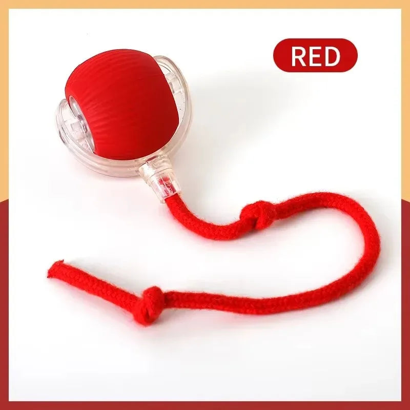 Gato Brinquedos Inteligentes Automáticos Bola Rolante Cauda Falsa Recarregável Elétrico Pet Interativo Brinquedo Cão Gato Treinamento Imita Caudas de Rato