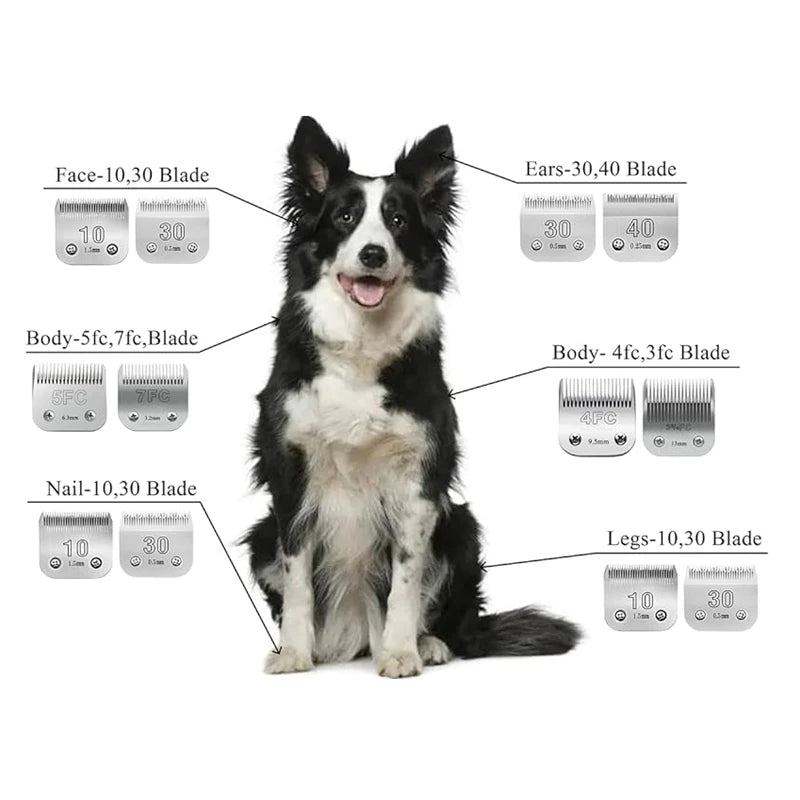 Lâmina destacável 3F,4F,5F,7F,9#,10#,30#,40#,50# para tosa de cães para a maioria dos tosadores Andis AG,AGC & BDC, Oster A5, Wahl KM