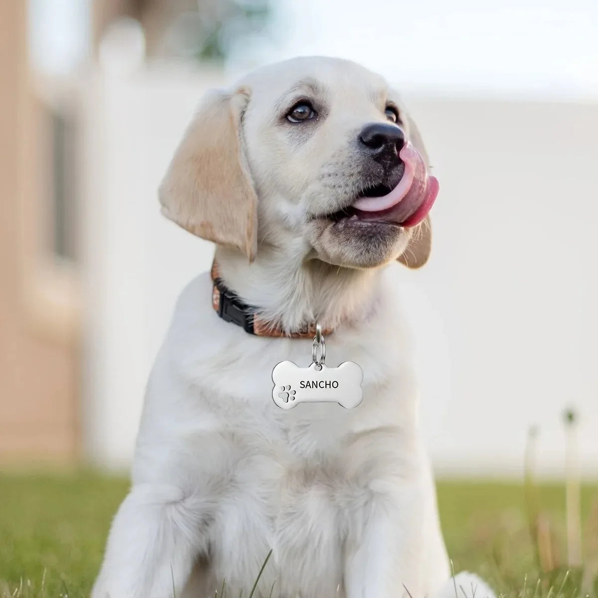 Personalized Engraved High Quality Dog Cat Tags with Name and Phone Number Bone Shaped Pet Pendant for Custom Pet Identification