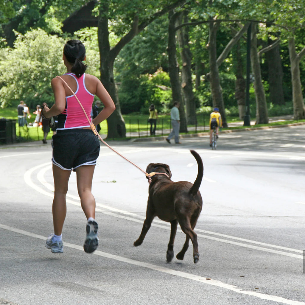 Coleira para cães multifuncional ajustável em forma de P, corrente de tração, guias para corrida, caminhada, coleiras mãos-livres