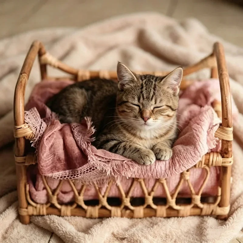 Breathable Natural Rattan Cat Bed Basket Handwoven Cat Photography Prop Wicker Pet Bed for Indoor Cats Photo Shoot Decoration