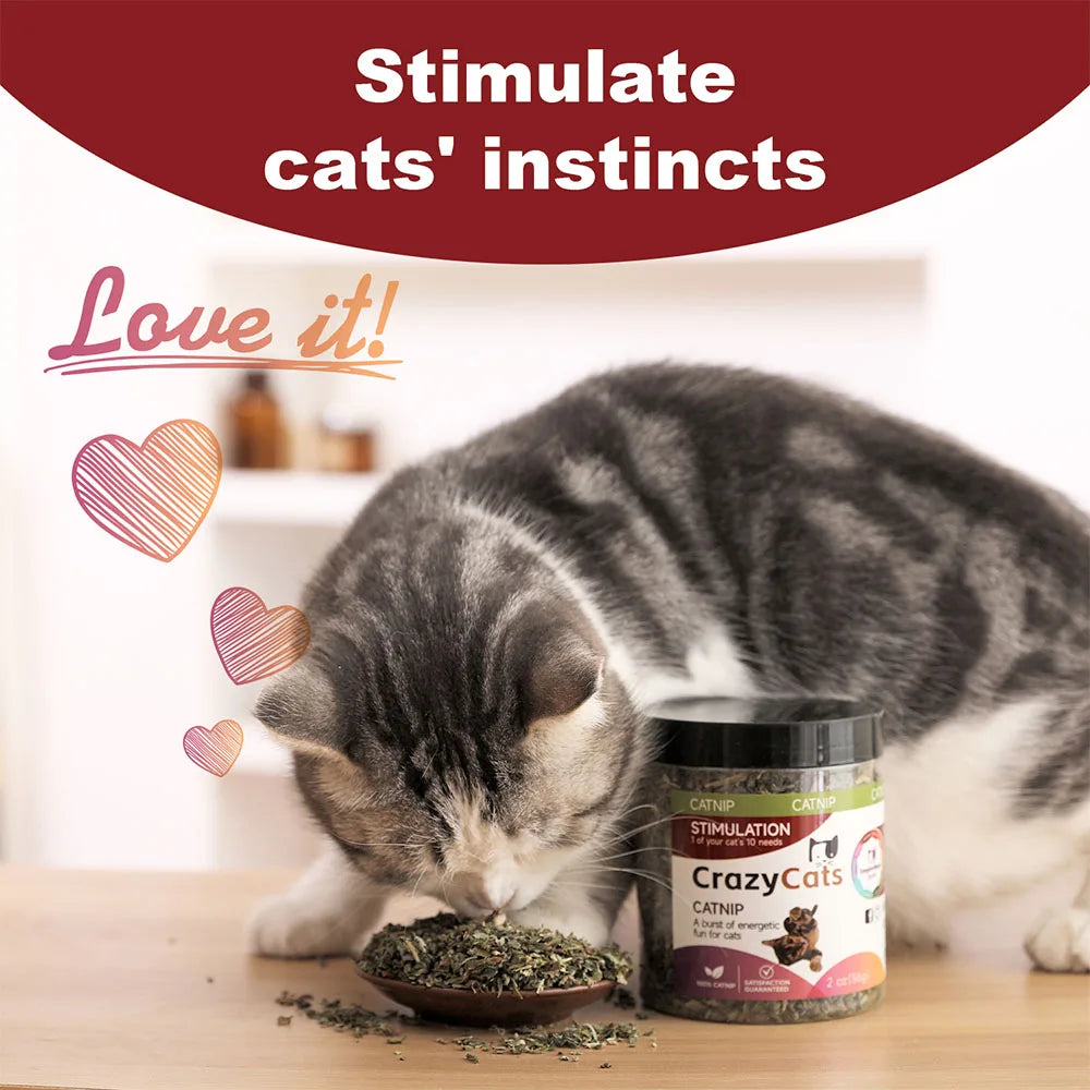 Pet's Cat Premium Catnip-56g Pote de Erva do Gato de Alta Potência, 100% Natural e Livre de Químicos, Seguro para Gatos de Todas as Idades