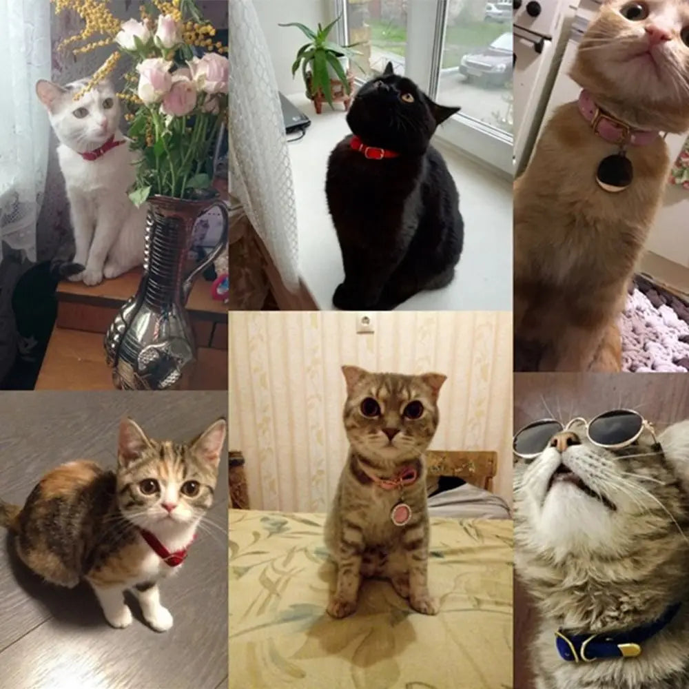 Cute Flocked Cloth Cat Collars Adjustable with Or Without a Bell Cat Tie Durable Pet Supplies Cat Dog