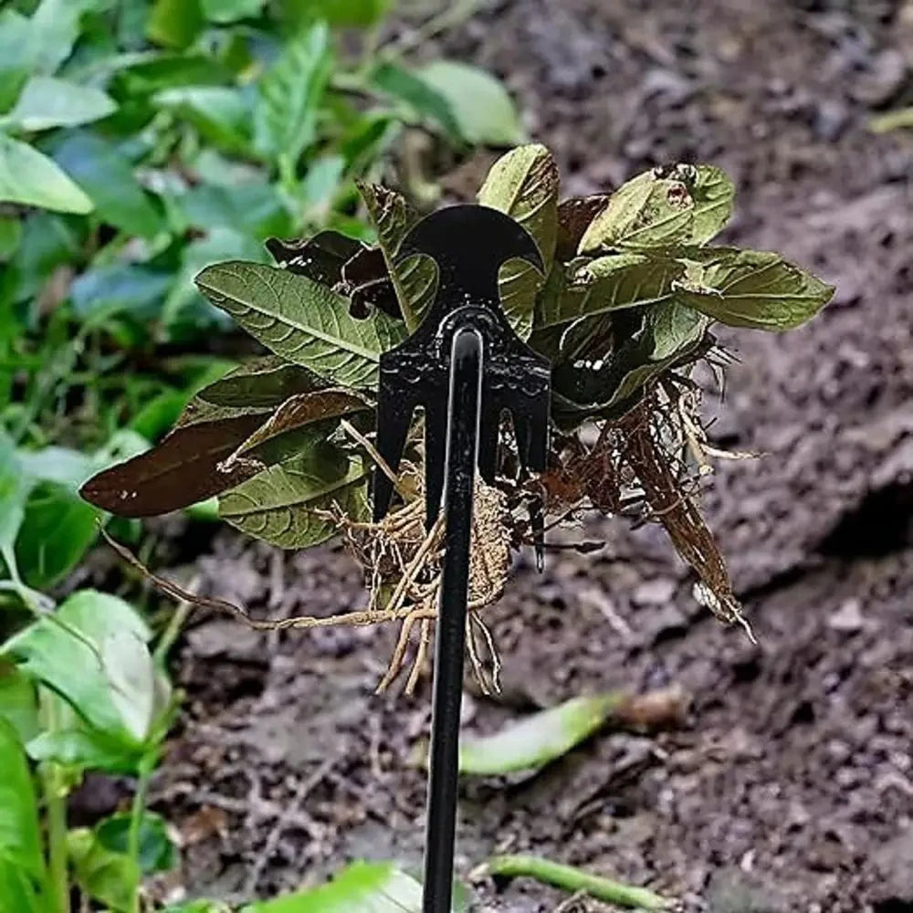 Garden Hoe