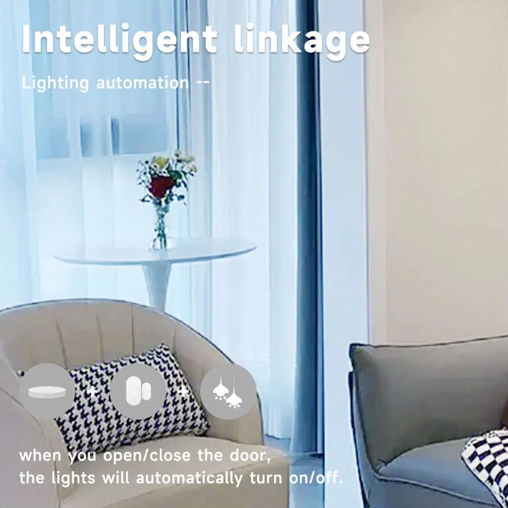 Smart Door Window Magnetic Sensor